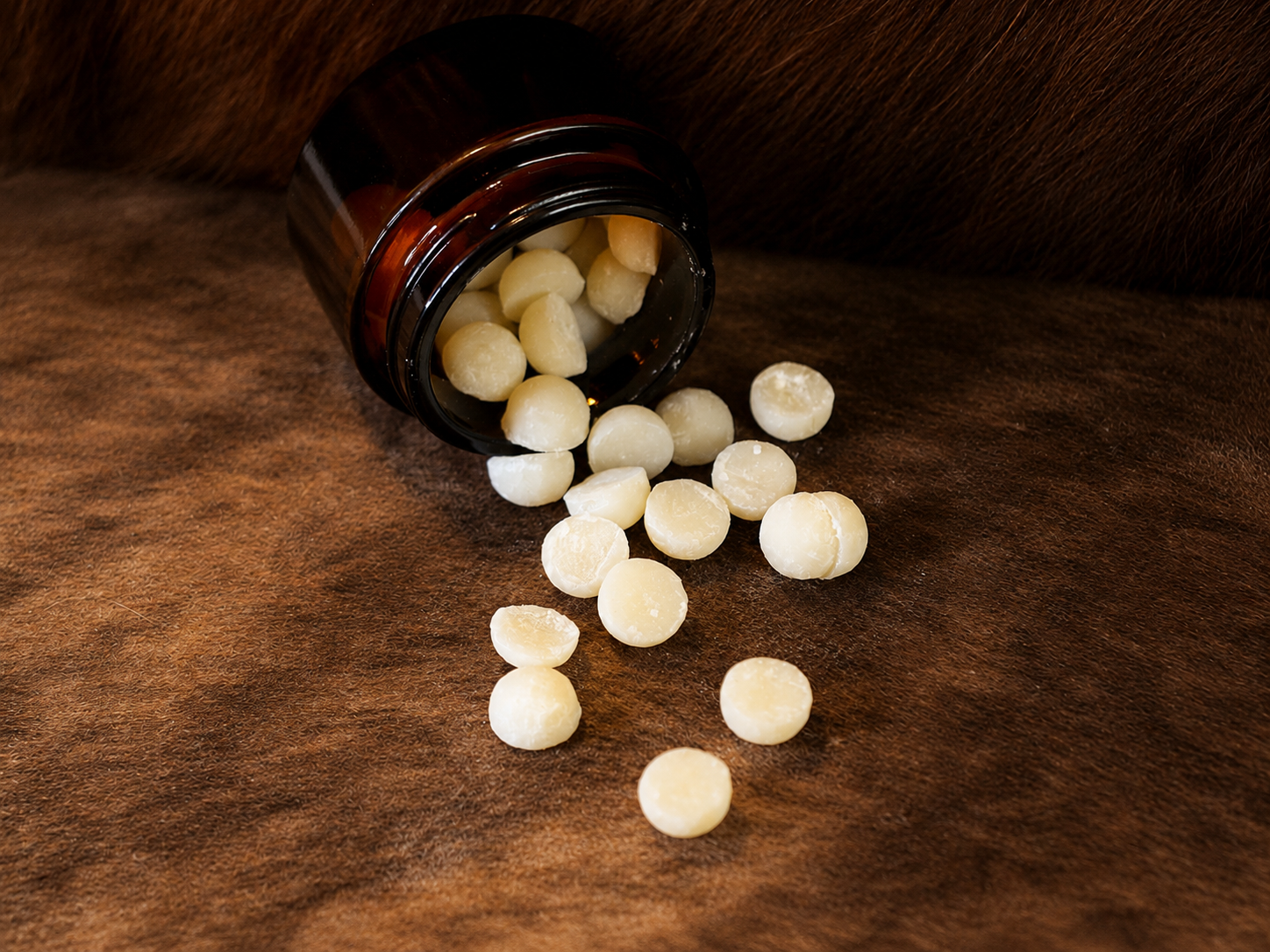 Tallow Dots