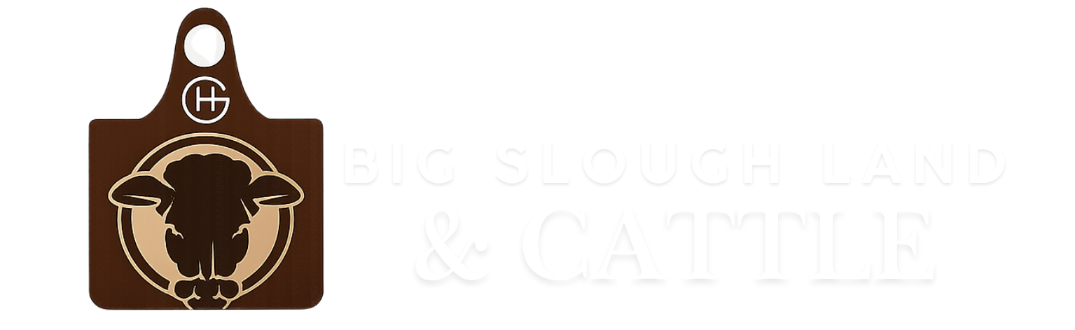 Big Slough Land & Cattle
